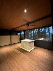 Holland Link (D10), Terrace #472830301